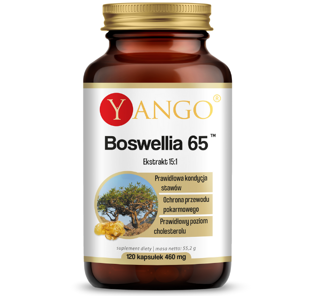 Yango Boswellia 65, kapsułki, 90 kaps.