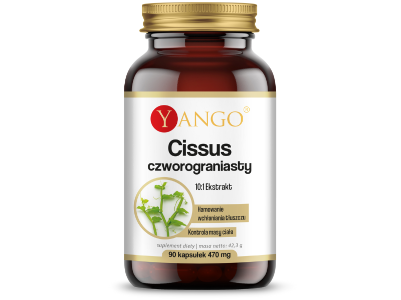 Yango Cissus, kapsułki, 90 kaps.