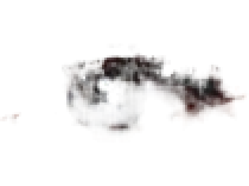 Delia Eyebrow Expert szablony do brwi, akcesoria, 10 szt.