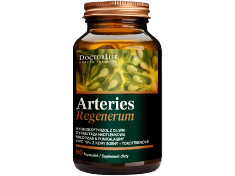 Doctor Life Arteries Regenerum, kapsułki, 60 kaps.