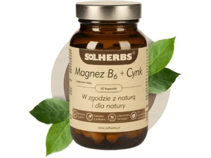 Solherbs Magnez B6 + cynk, kapsułki twarde, 60 kaps.